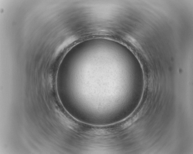 X0000087381402200705041933