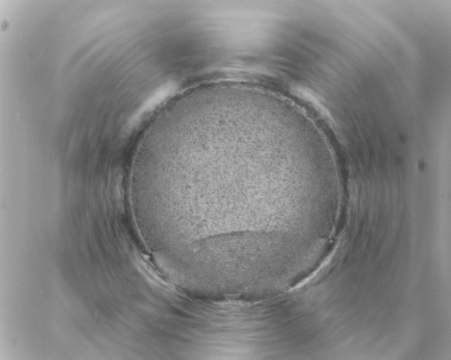 X0000087381403200705041933