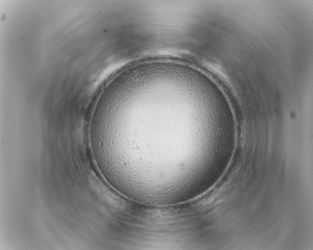 X0000087381404200705041934