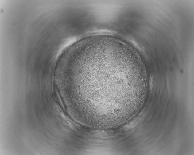 X0000087381405200705041934