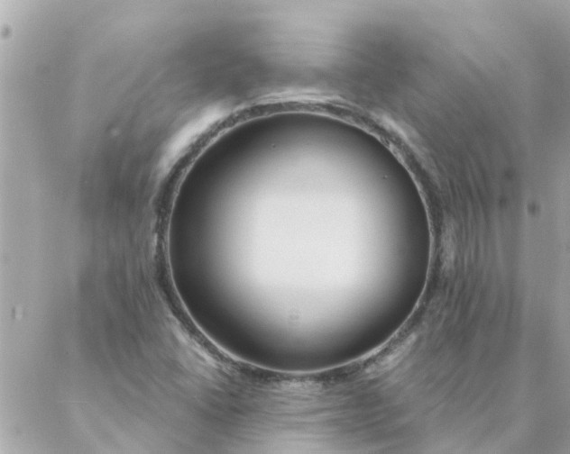 X0000087381406200705041934