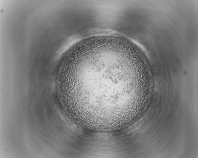 X0000087381407200705041934