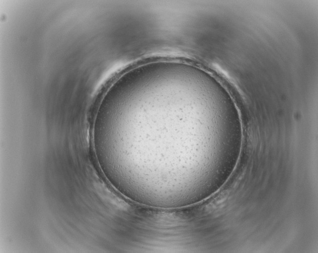 X0000087381408200705041934