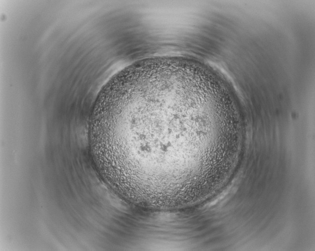 X0000087381409200705041934