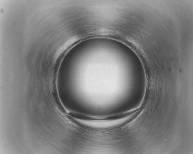 X0000087381410200705041934