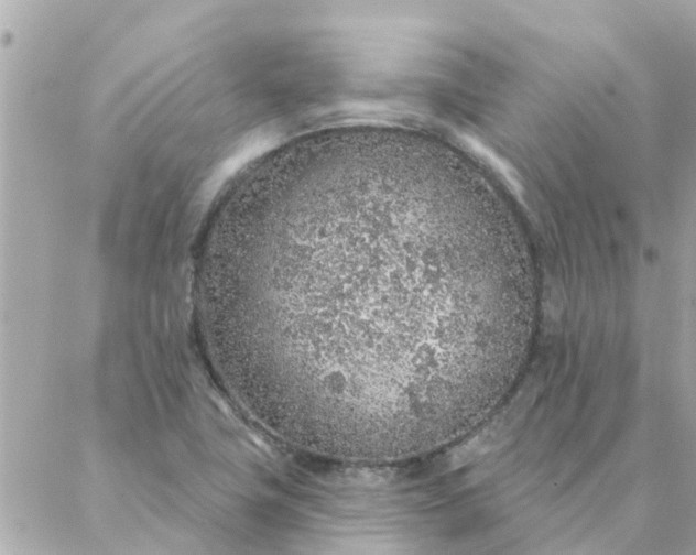 X0000087381411200705041934