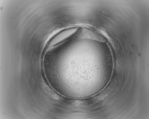 X0000087381412200705041934