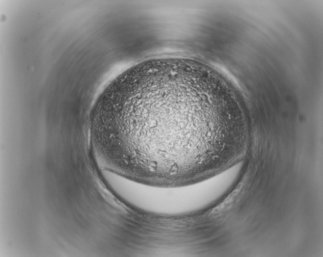 X0000087381413200705041934