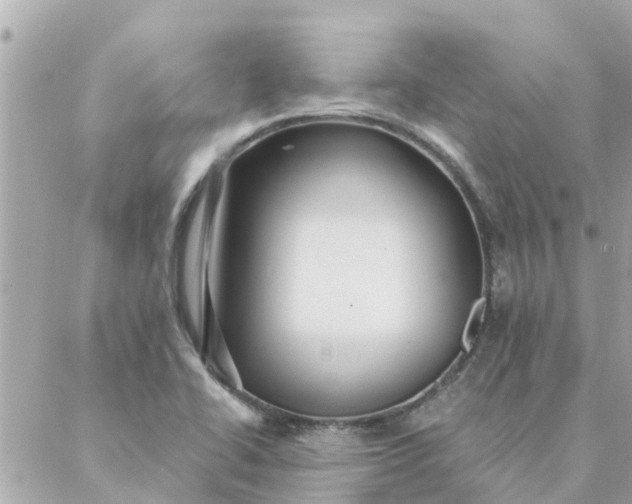 X0000087381414200705041934