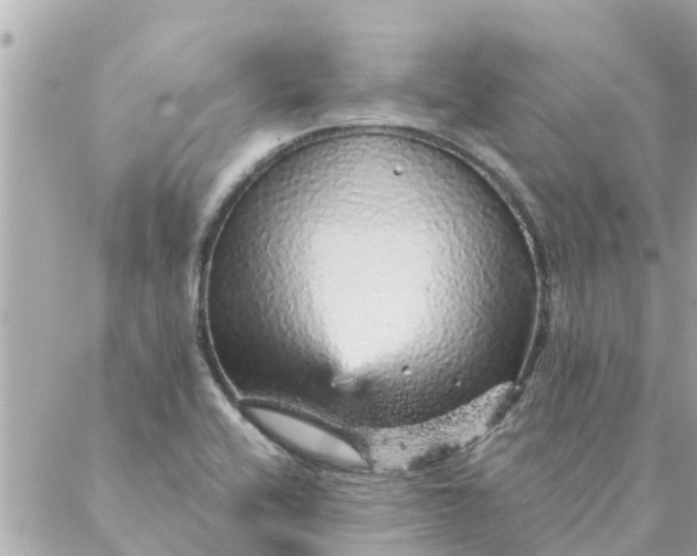 X0000087381416200705041934