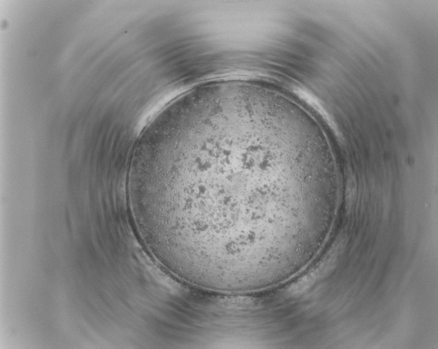 X0000087381417200705041934