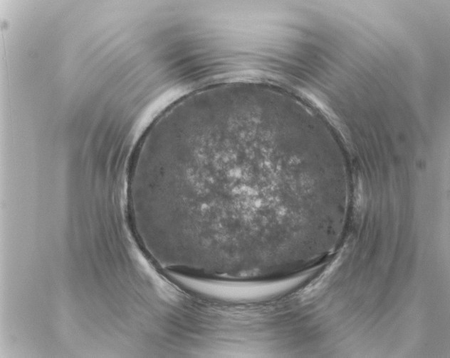 X0000087381418200705041934