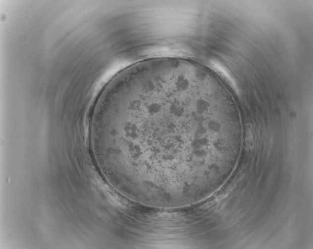 X0000087381419200705041934