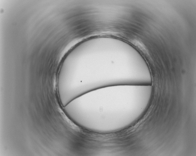 X0000087381420200705041934