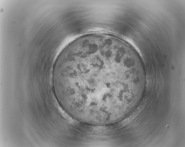 X0000087381421200705041934