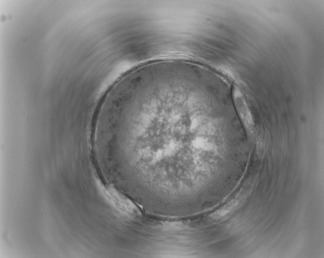 X0000087381422200705041934