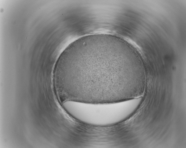 X0000087381423200705041934