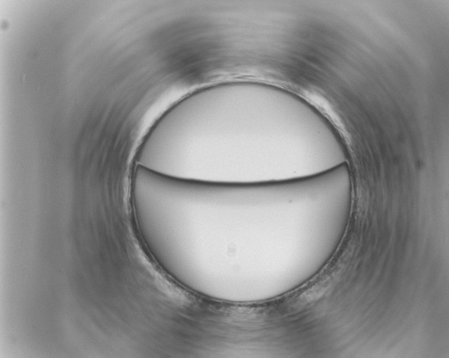 X0000087381424200705041934