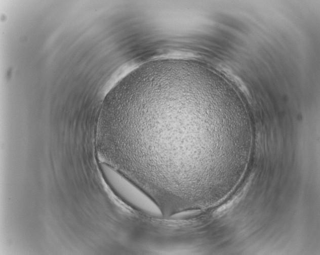 X0000087381425200705041934