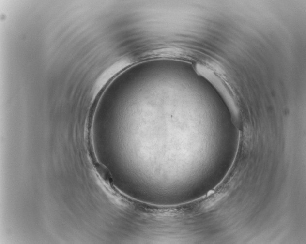 X0000087381426200705041934