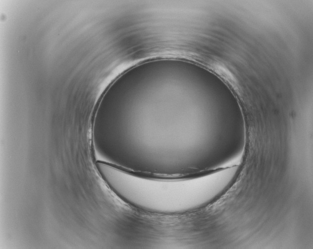 X0000087381428200705041934