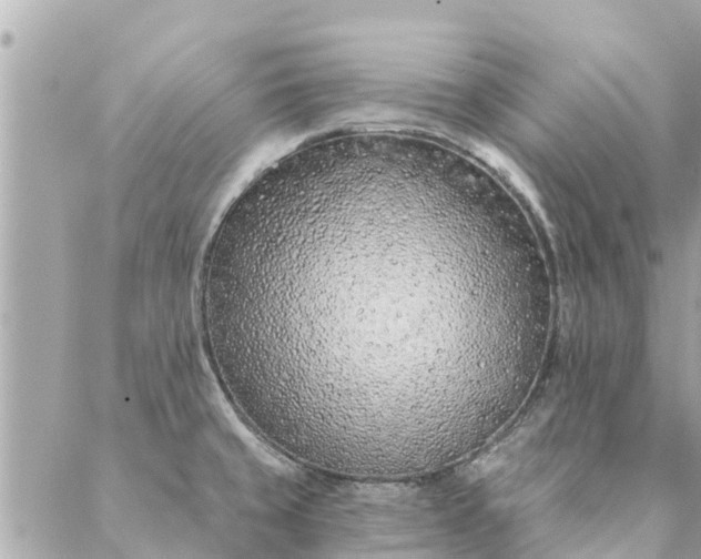 X0000087381429200705041934