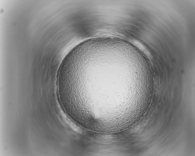 X0000087381431200705041934