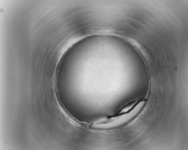 X0000087381432200705041934