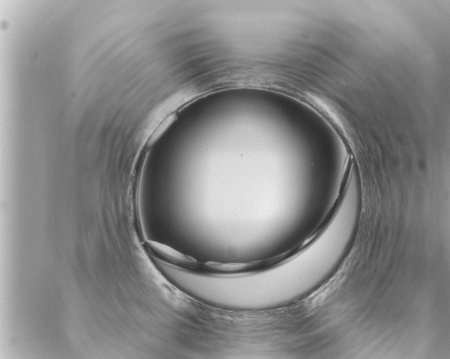 X0000087381434200705041934