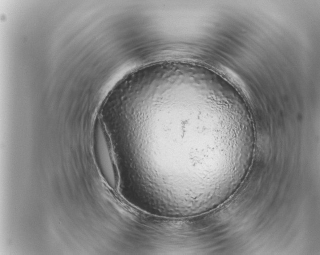 X0000087381435200705041934