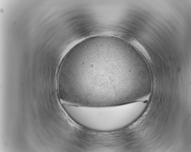 X0000087381436200705041934