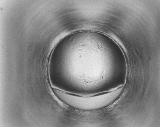 X0000087381437200705041934