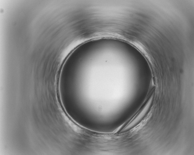 X0000087381438200705041934