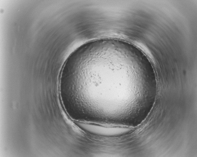 X0000087381439200705041934