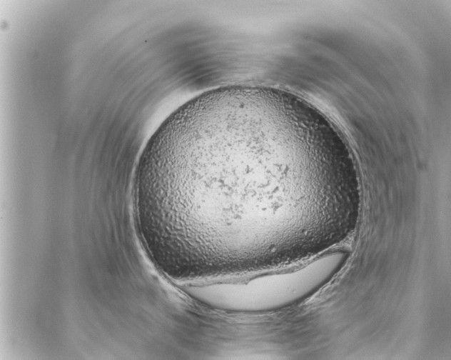 X0000087381440200705041934