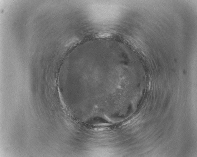 X0000087381441200705041933