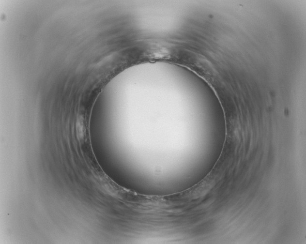 X0000087381442200705041933