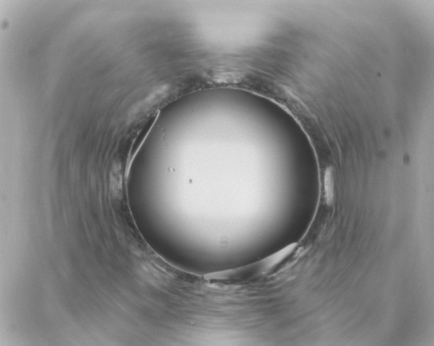 X0000087381443200705041933