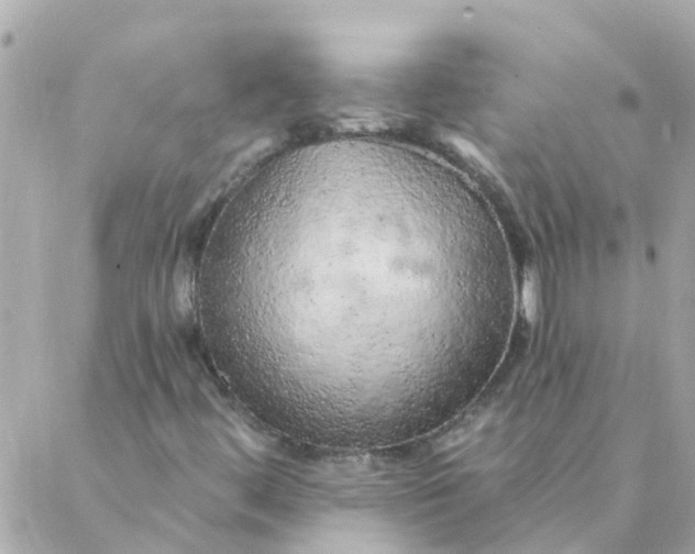 X0000087381444200705041933