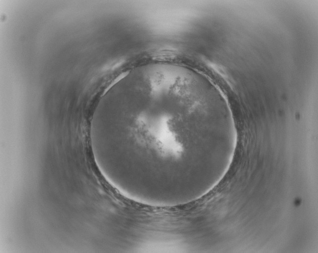 X0000087381445200705041933