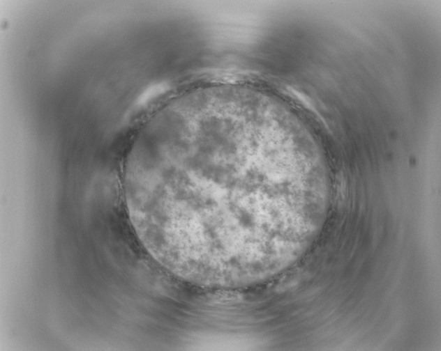 X0000087381446200705041933