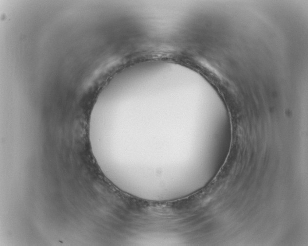 X0000087381447200705041933