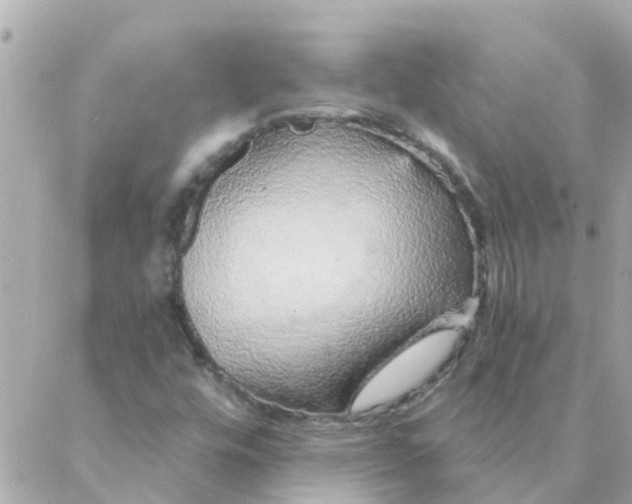 X0000087381448200705041933