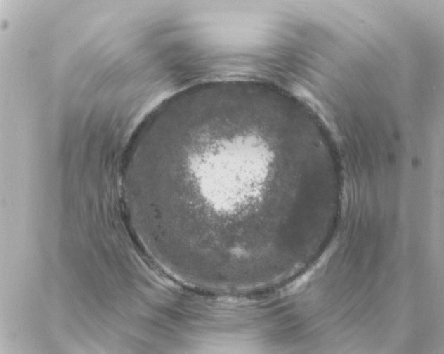 X0000087381449200705041933