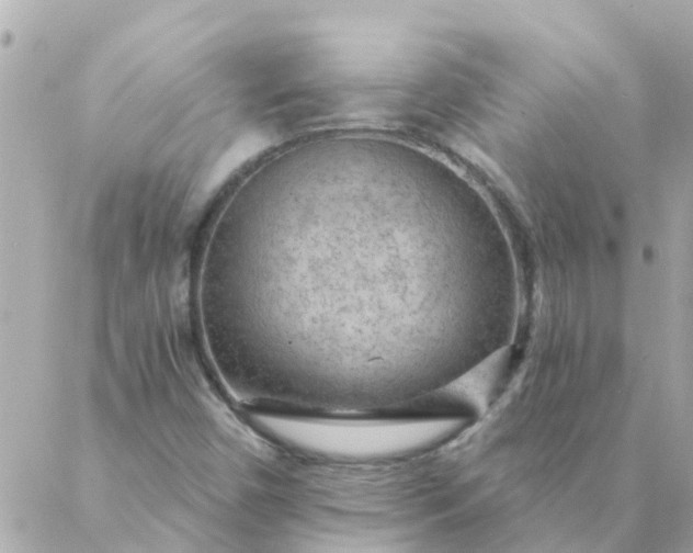 X0000087381450200705041933