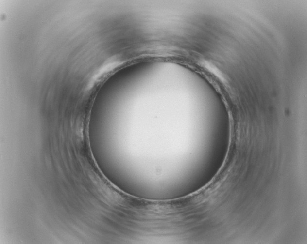 X0000087381451200705041933