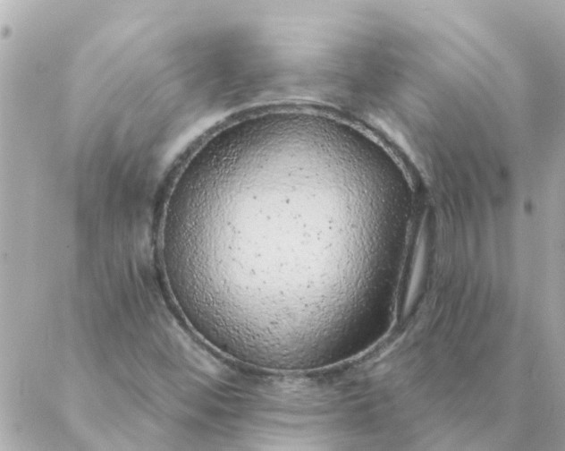 X0000087381452200705041933