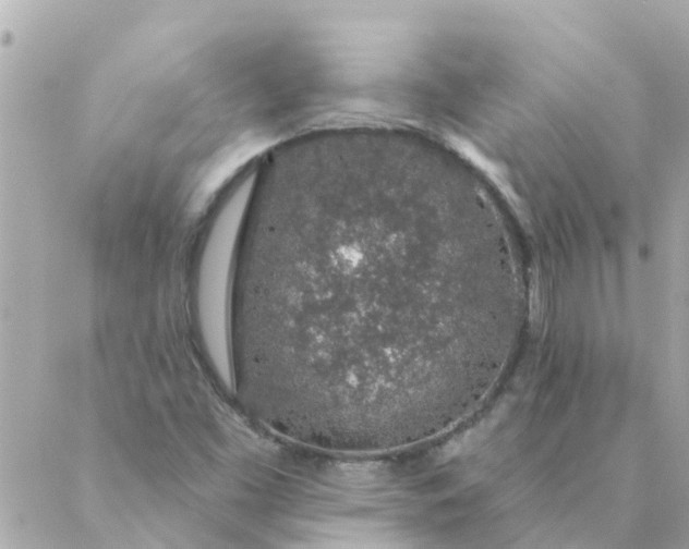 X0000087381453200705041933