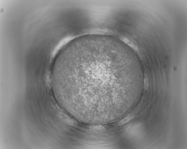 X0000087381454200705041933