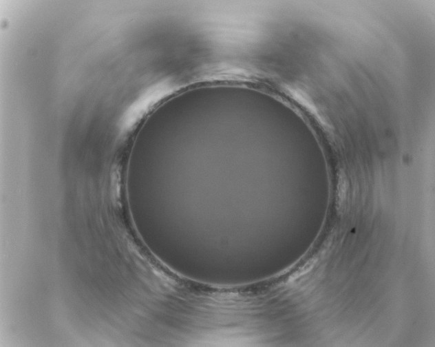 X0000087381455200705041933